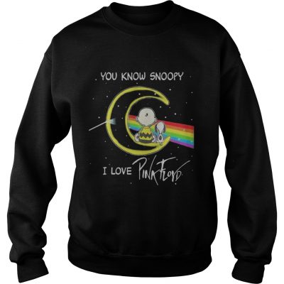 SWeater You know Snoopy I love Pink Floyd dark side the moon