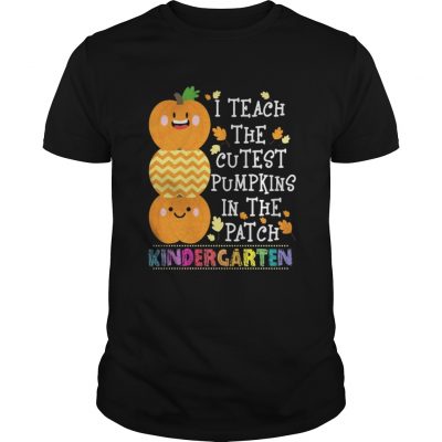 Guys I teach the cutest pumpkins in the patch kindergarten shirt