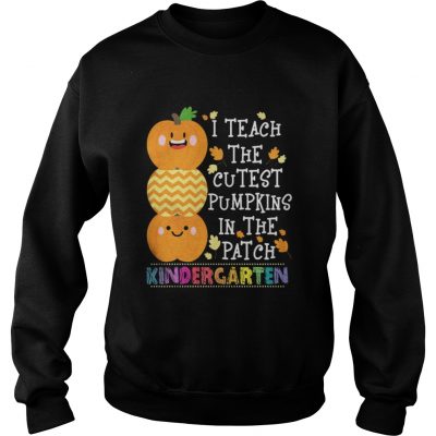 Sweater I teach the cutest pumpkins in the patch kindergarten shirt