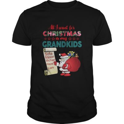 Guys All I want for Christmas is my Grandkids shirt and sweater