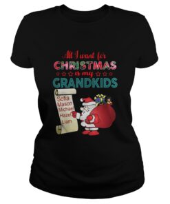 Ladies Tee All I want for Christmas is my Grandkids shirt and sweater