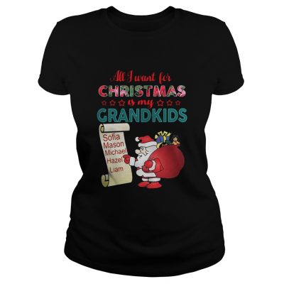 Ladies Tee All I want for Christmas is my Grandkids shirt and sweater