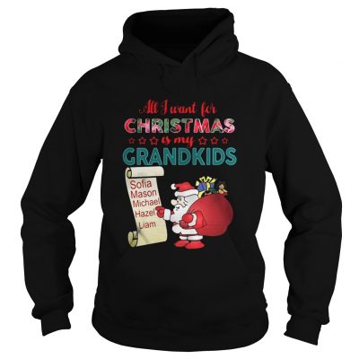 Hoodie All I want for Christmas is my Grandkids shirt and sweater