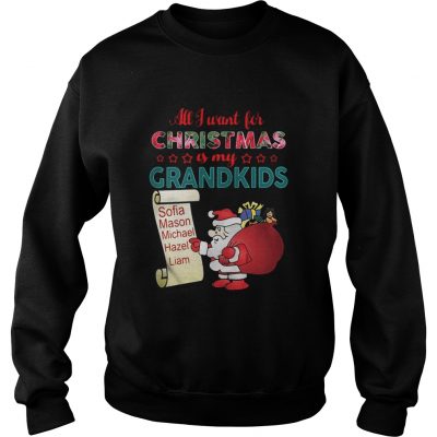 Sweater All I want for Christmas is my Grandkids shirt and sweater