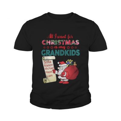 Youth Tee All I want for Christmas is my Grandkids shirt and sweater