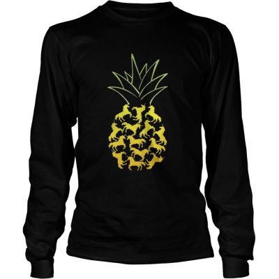 Long Sleeve Unicorn Pineapple shirt