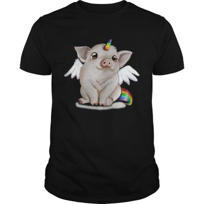 Guys Rainbow Pig unicorn shirt