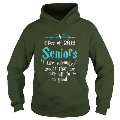 Halloween Class of 2019 seniors we solemnly swear that hoodie