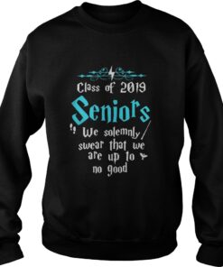 Halloween Class of 2019 seniors we solemnly swear that sweatshirt