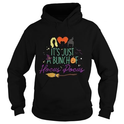 Halloween Its just a Bunch Of Hocus Pocus hoodie