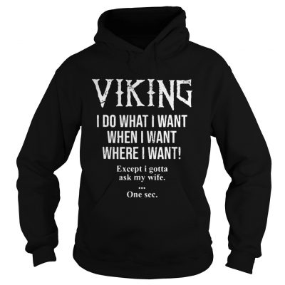 Viking I do what I want when I want where I want Hoodie