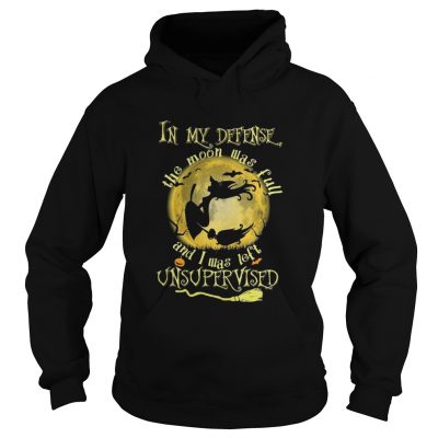 Dreamcatcher sunflowers Hoodie