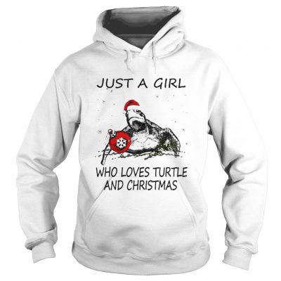 Just A Girl Who Loves Turltes And Christmas Hoodie