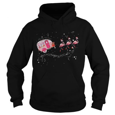 Merry Christmas camping Flamingo Hoodie