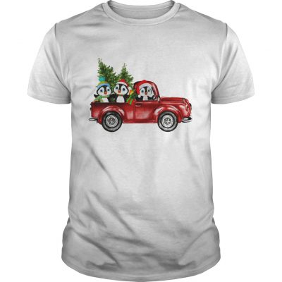 Penguin Cartoon drive red car very christmas Guys