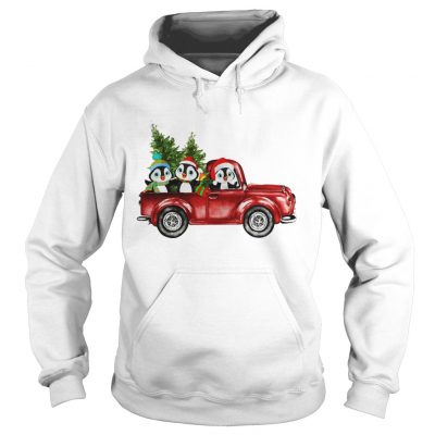 Penguin Cartoon drive red car very christmas Hoodie