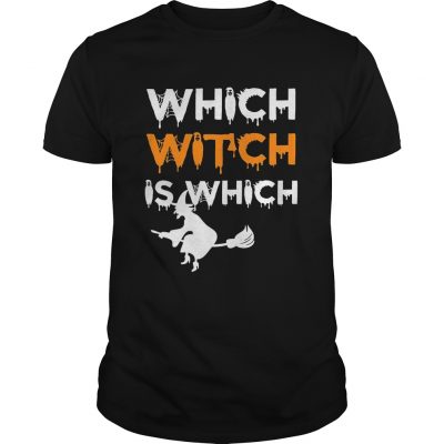 The Which Witch Is Which Funny Halloween English Teacher classic guys