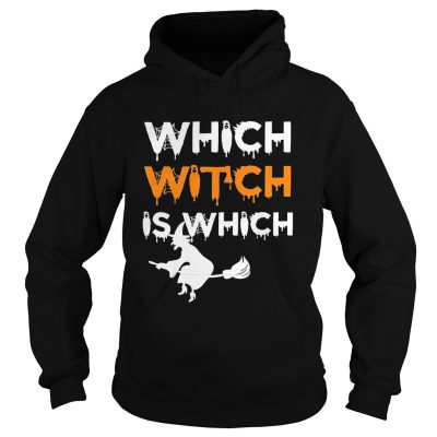 The Which Witch Is Which Funny Halloween English Teacher hoodie