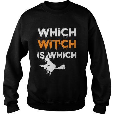 The Which Witch Is Which Funny Halloween English Teacher sweatshirt