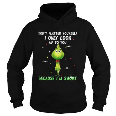 Baby Grinch don’t flatter yourself I only look up to you Christmas Hoodie