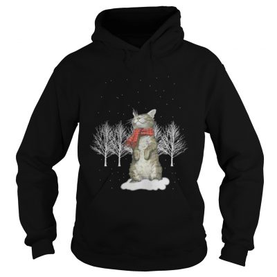 Cat Christmas 2018 Hoodie