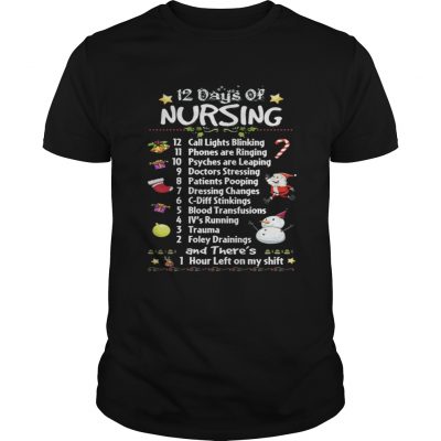 Christmas 12 days of Nursing 12 call lights blinking 11 phones are ringing Guys