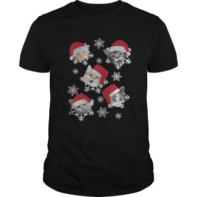 Christmas Snow cat emotion Santa hat Guys