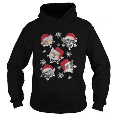 Christmas Snow cat emotion Santa hat Hoodie