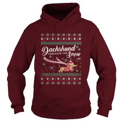 Dachshund through the snow Hoodie