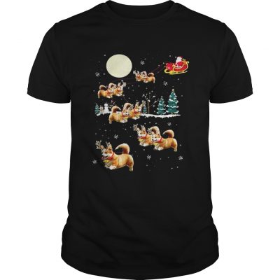 Funny Corgi Christmas Guys