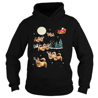 Funny Corgi Christmas Hoodie