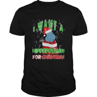 Guys I Want A Hippopotamus For Christmas shirt