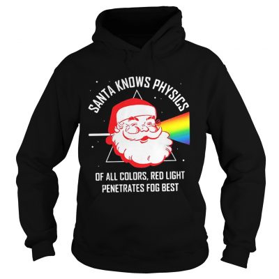 Hoodie Santa knows physics of all colors red light shirt