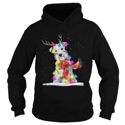 Hoodie Schnauzer reindeer and Christmas lights