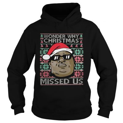 Hoodie Wonder why christmas missed us shirt