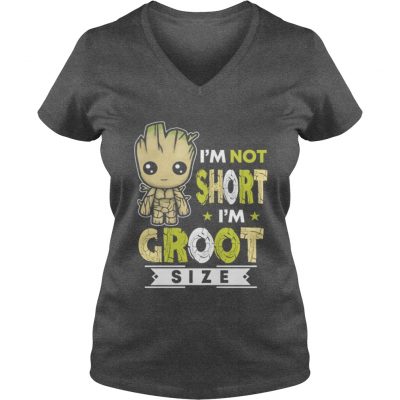 Im not short Im groot size VNeck