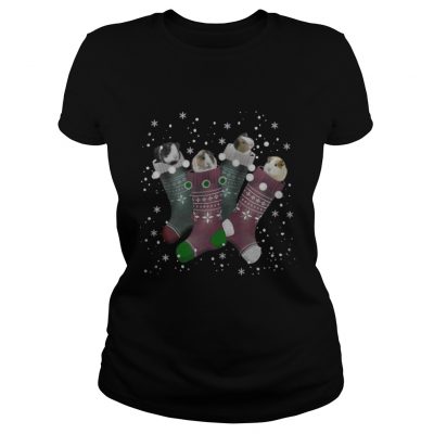 Ladies Tee Guinea pig Christmas