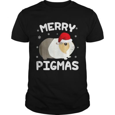 Merry PigmasFunny Guinea Pig Guys