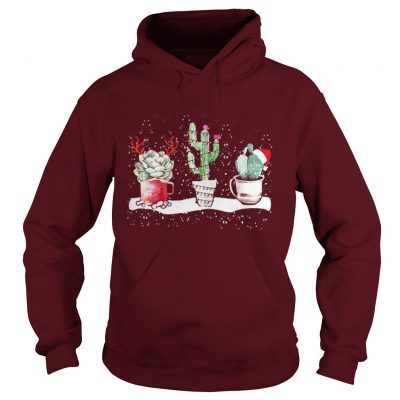 Succulent Christmas reindeer fairy lights and Santa hat Hoodie