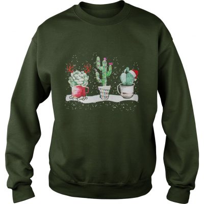 Succulent Christmas reindeer fairy lights and Santa hat Sweatshirt