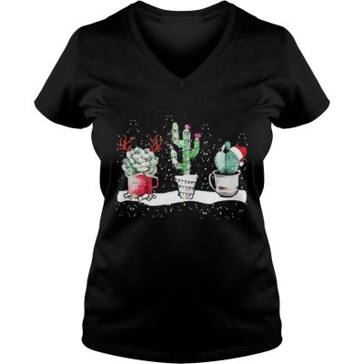 Succulent Christmas reindeer fairy lights and Santa hat VNeck