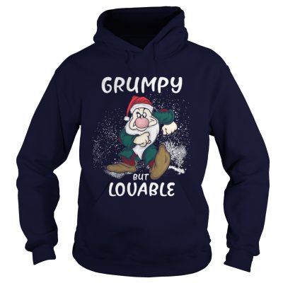 The Grumpy but louable christmas Hoodie