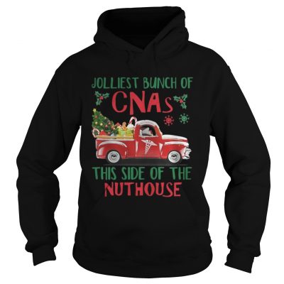 Hoodie Jolliest Bunch of CNAs This Side of The Nuthouse