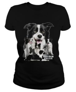 Ladies Tee Border Collie shirt