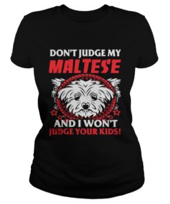 Ladies Tee My Maltese And Your Kids shirt