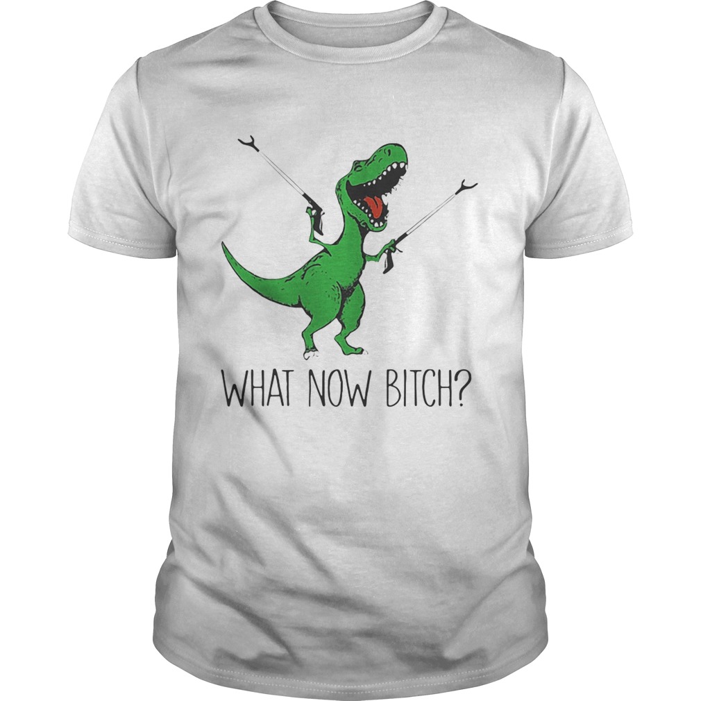 Dinosaurs Unicorn What Now Bitch shirt