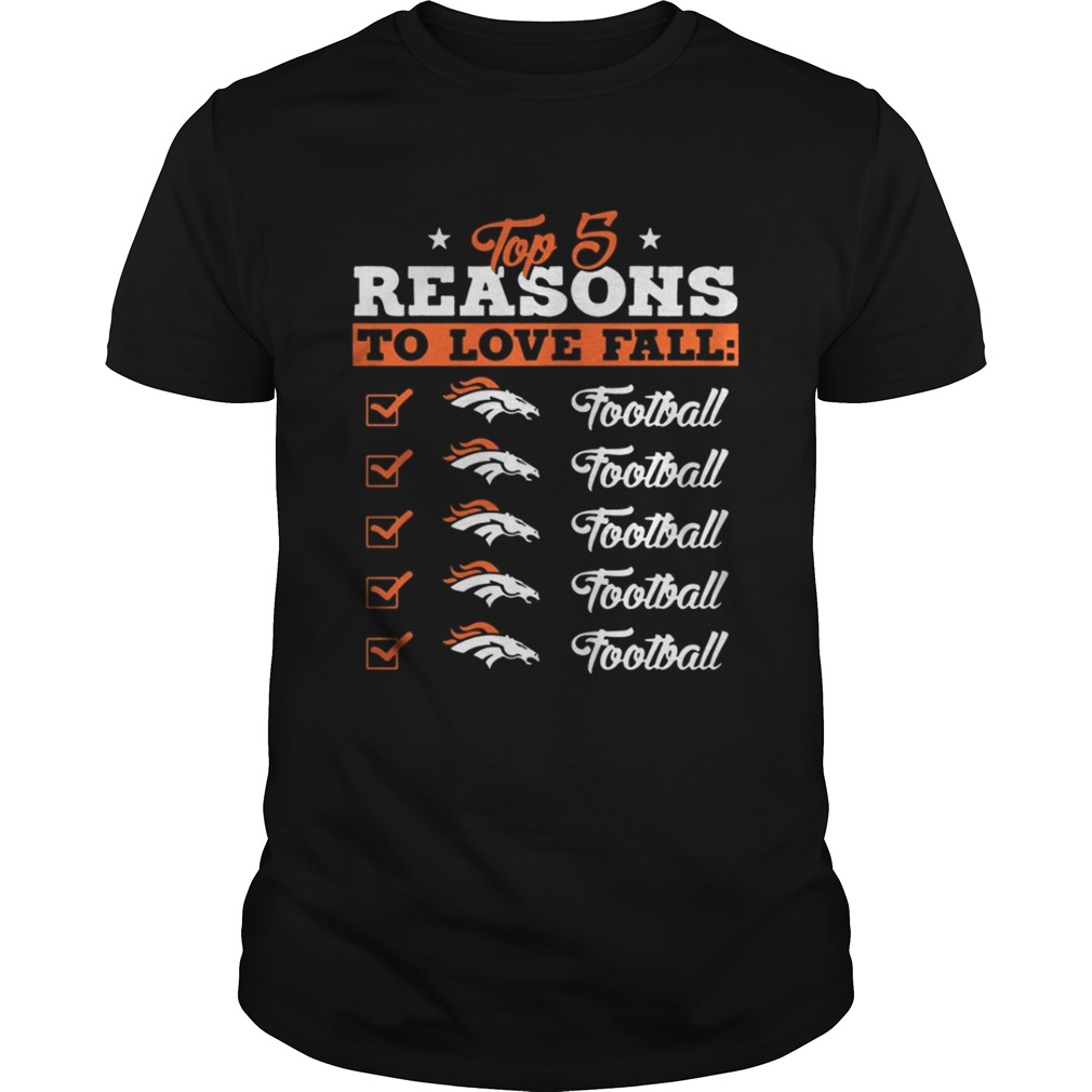 Top 5 Reasons To Love Falls Broncos Football Team T-Shirt