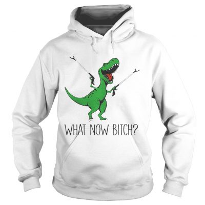 Hoodie Dinosaurs Unicorn What Now Bitch shirt