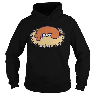 Hoodie HAL Laboratory shirt