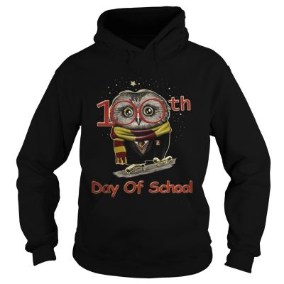 Hoodie Harry Potter owl 100th days of school shirt